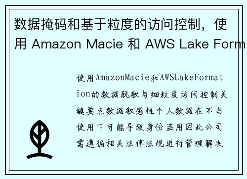 数据掩码和基于粒度的访问控制，使用 Amazon Macie 和 AWS Lake Formatio