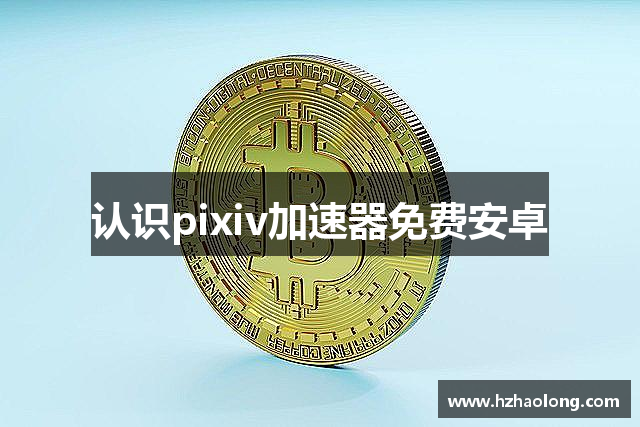 认识pixiv加速器免费安卓